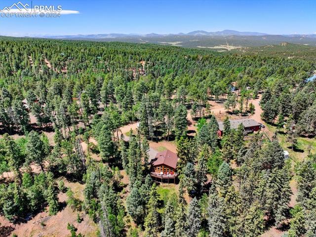 243 Donzi Trail