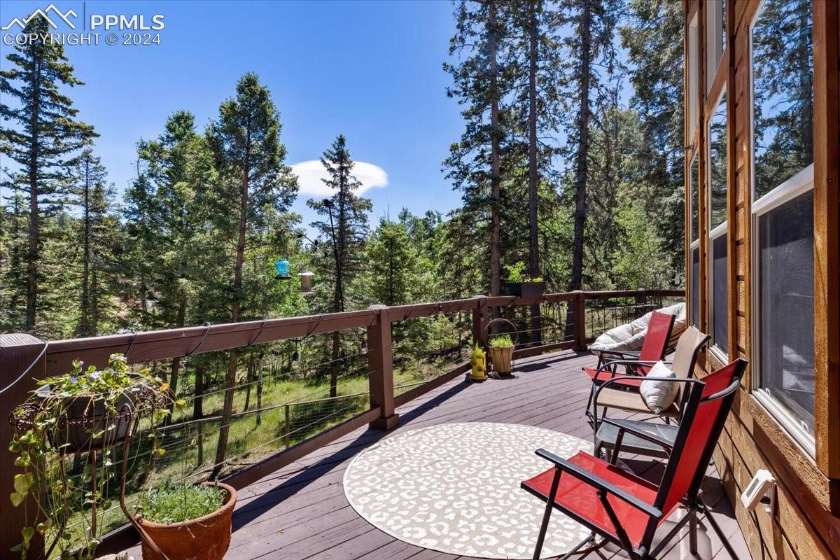 243 Donzi Trail