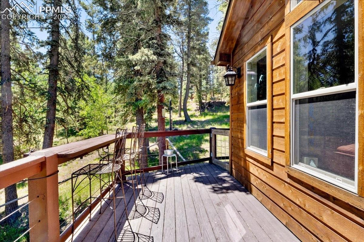 243 Donzi Trail