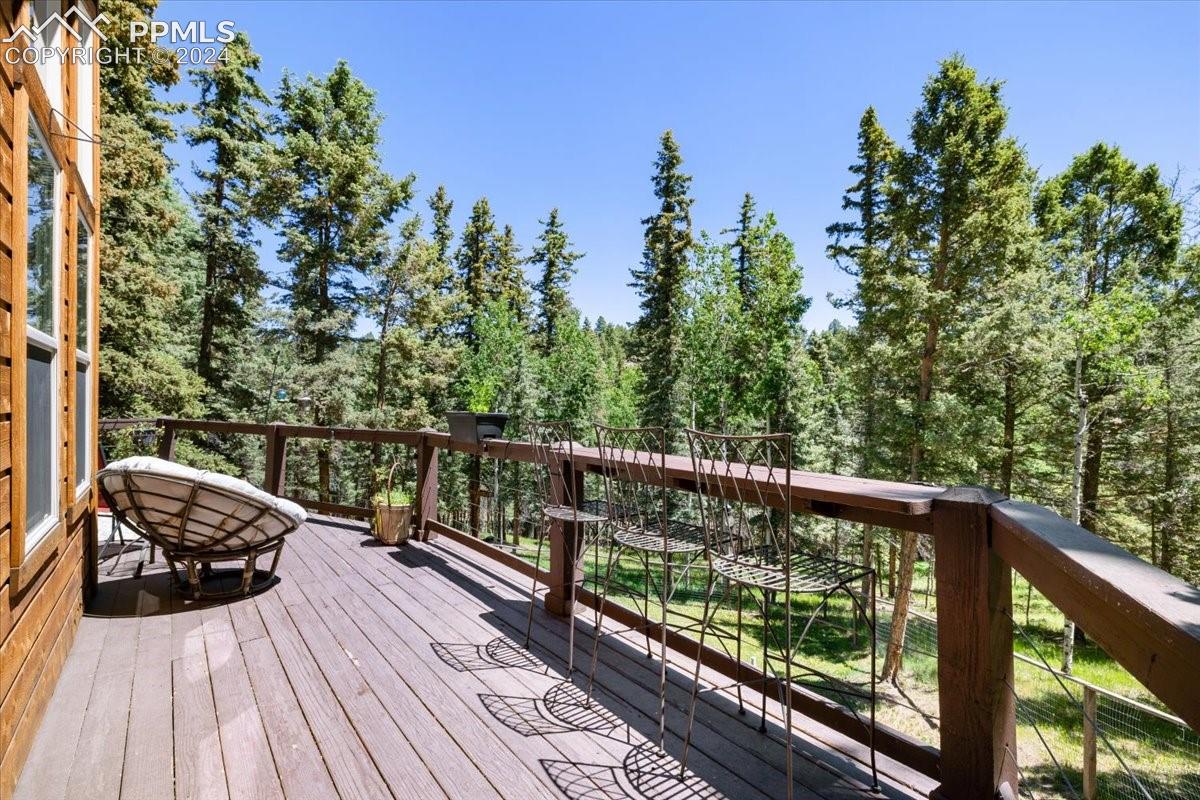 243 Donzi Trail
