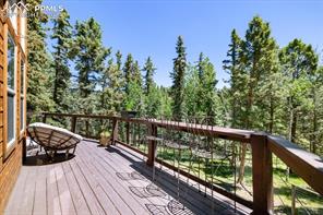 243 Donzi Trail