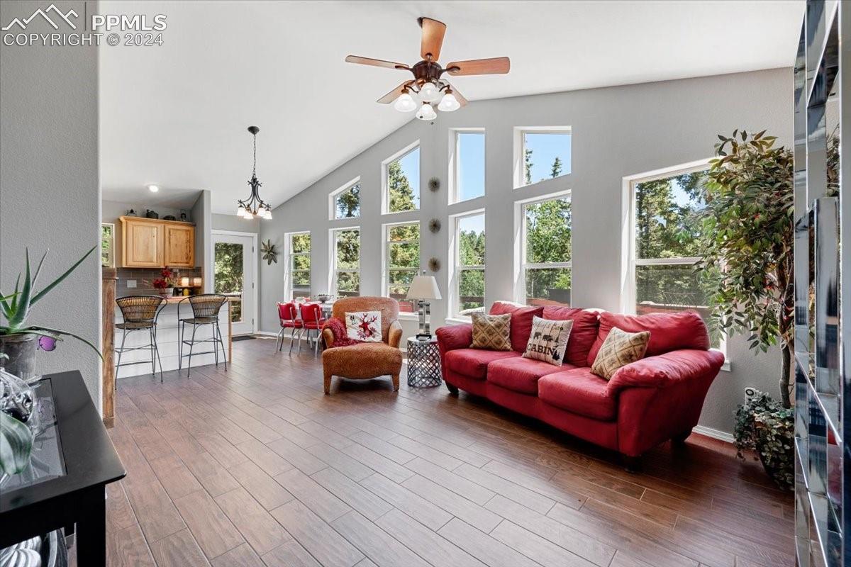 243 Donzi Trail