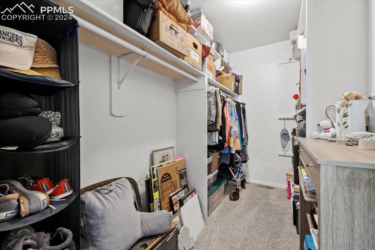 243 Donzi Trail