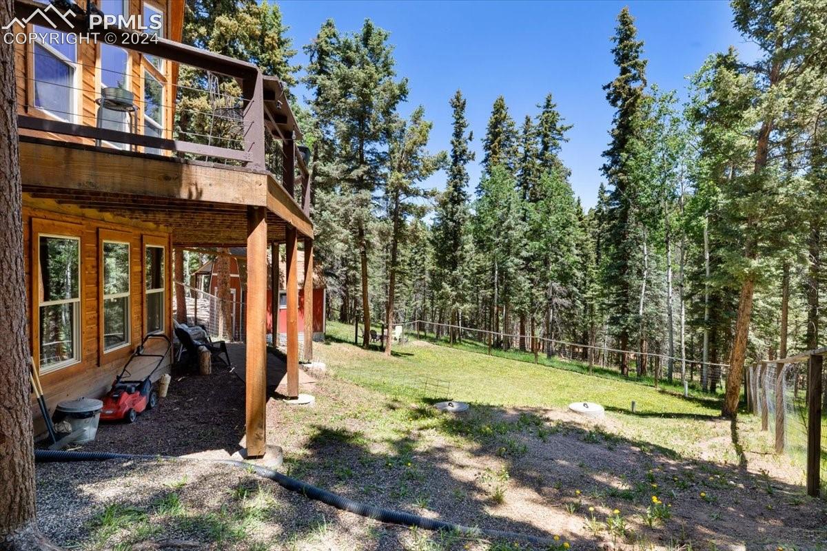 243 Donzi Trail