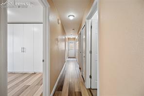 4449 Windmill Creek Way