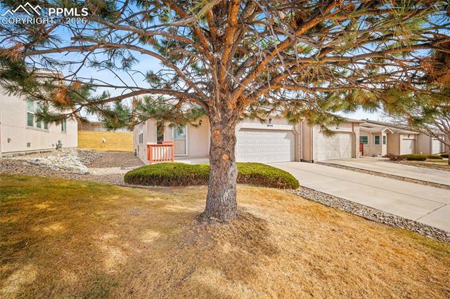 4449 Windmill Creek Way