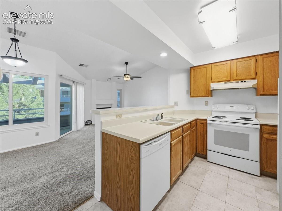 3638 Iguana Drive