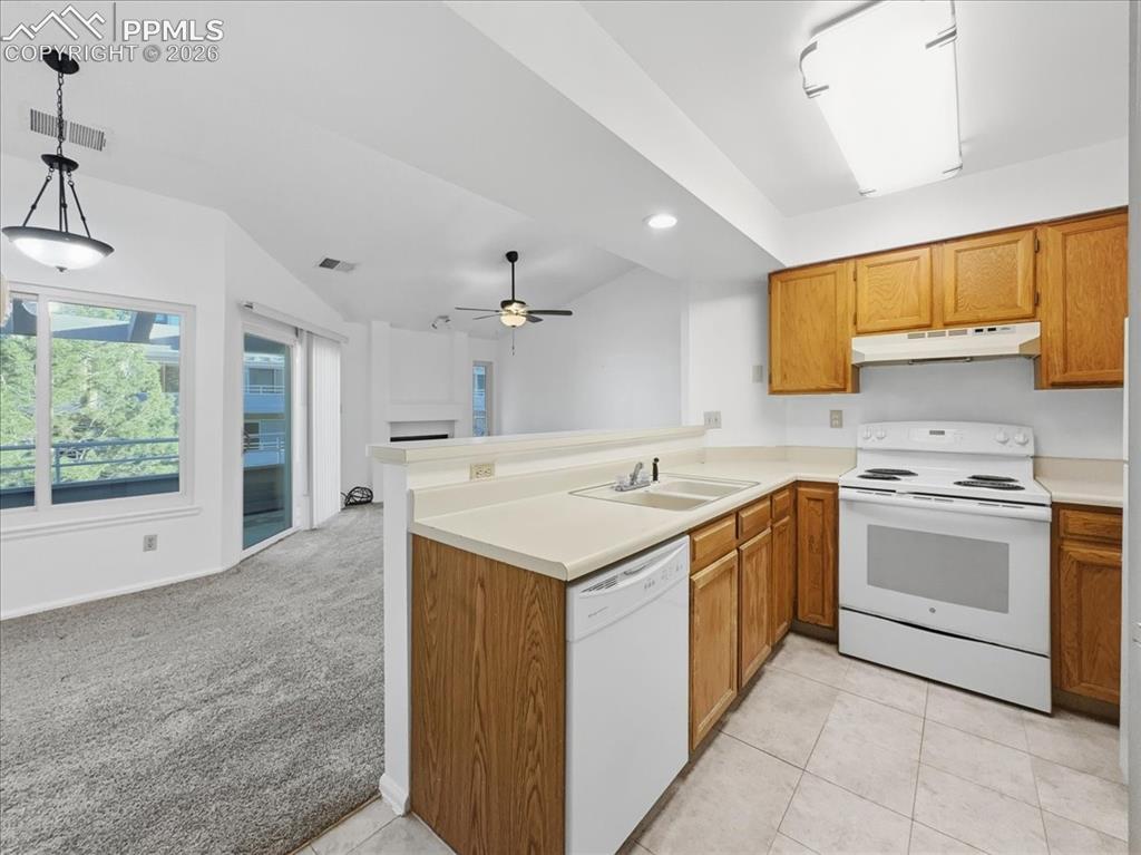 3638 Iguana Drive