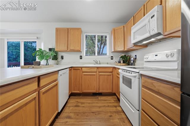 2561 Mesa Springs View