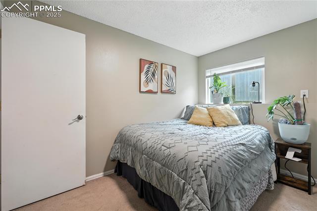 4183 Shelbe Court