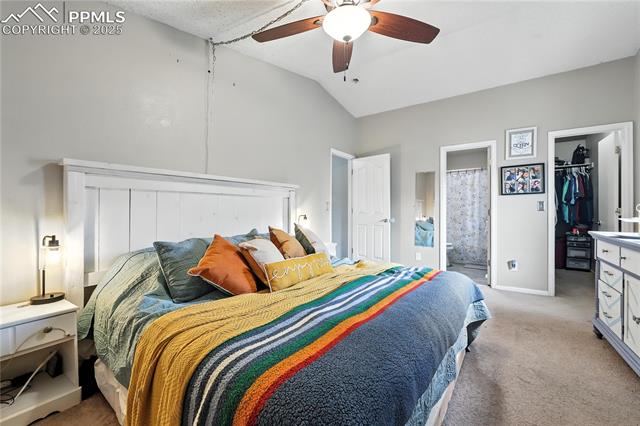 4183 Shelbe Court