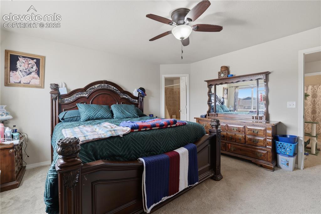 7738 Crestone Peak Trail