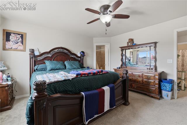 7738 Crestone Peak Trail