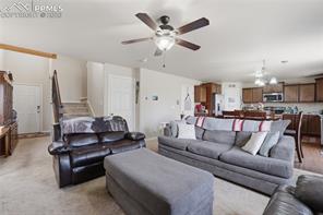 7738 Crestone Peak Trail