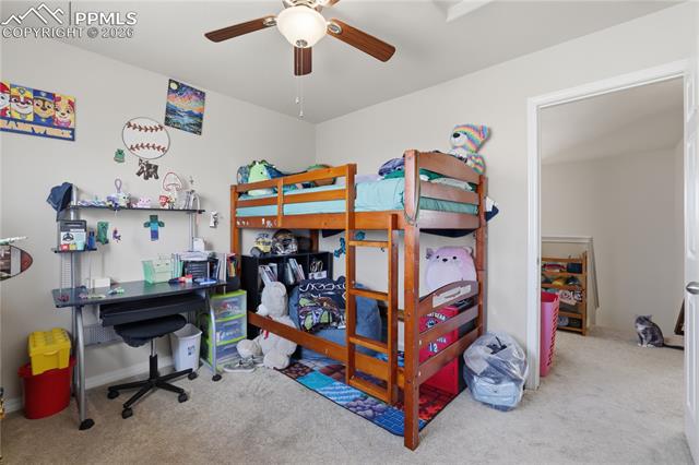 7738 Crestone Peak Trail