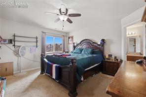 7738 Crestone Peak Trail
