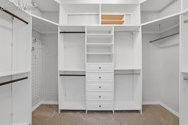 20305 True Vista Circle