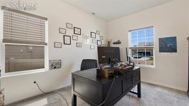 4466 Prairie Agate Drive