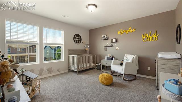 4466 Prairie Agate Drive