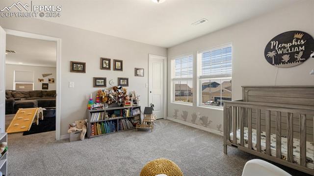 4466 Prairie Agate Drive