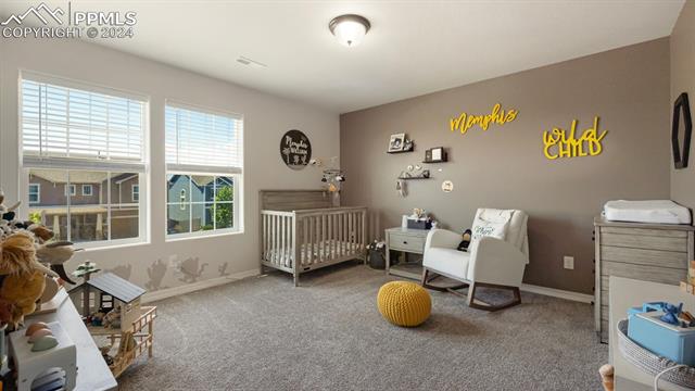 4466 Prairie Agate Drive