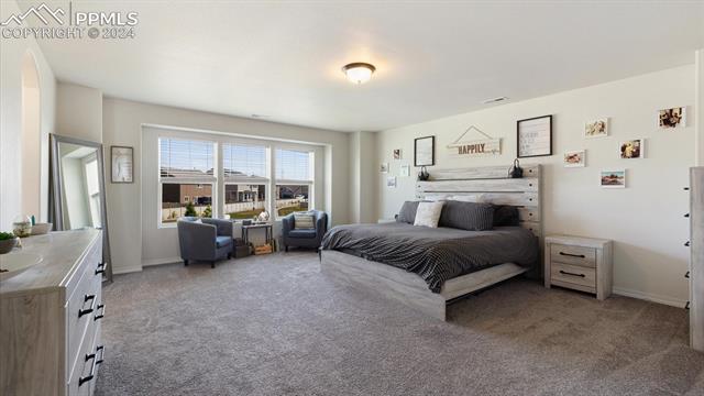 4466 Prairie Agate Drive