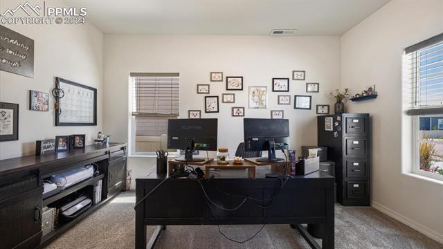 4466 Prairie Agate Drive