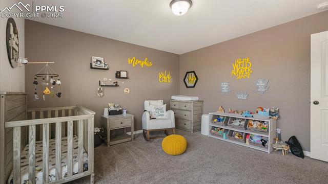 4466 Prairie Agate Drive