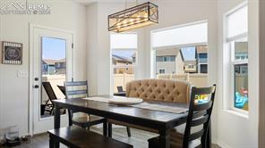 4466 Prairie Agate Drive