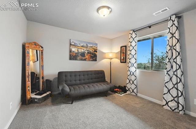 1376 Plentiful Drive