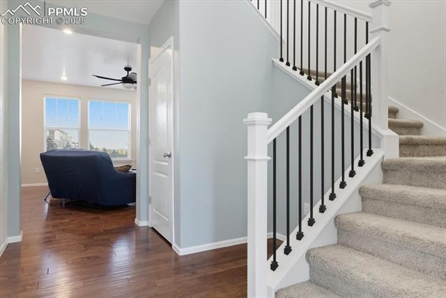 10539 Casper Point