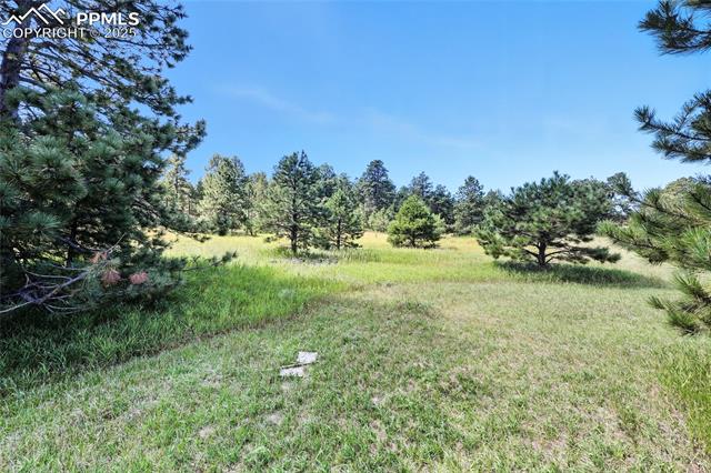 18380 Black Squirrel Road
