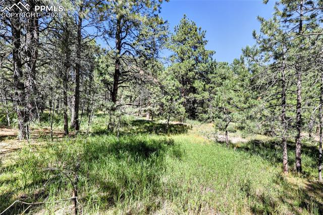 18380 Black Squirrel Road