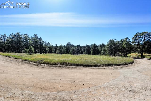 18380 Black Squirrel Road