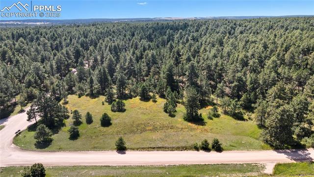 18380 Black Squirrel Road