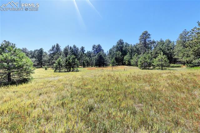 18380 Black Squirrel Road