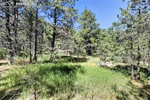 18380 Black Squirrel Road