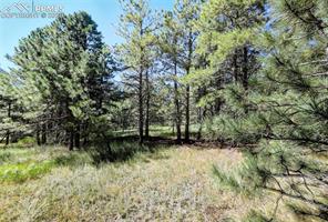 18400 Black Squirrel Road