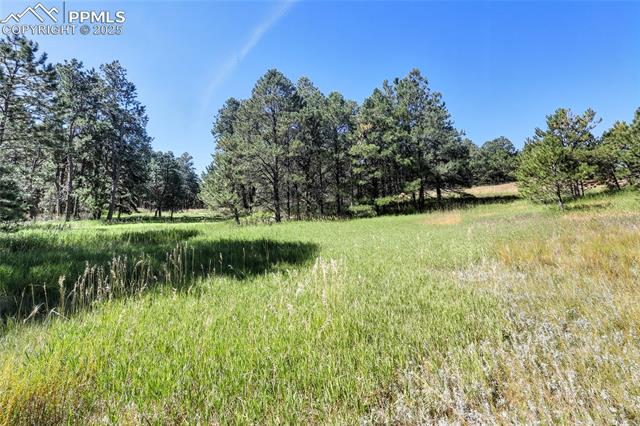 18400 Black Squirrel Road