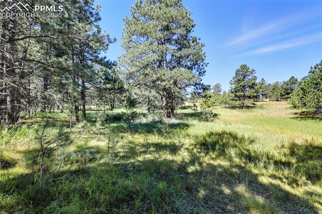 18400 Black Squirrel Road