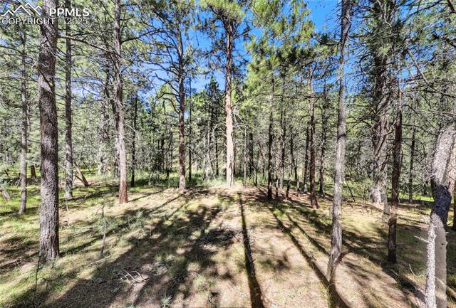 18400 Black Squirrel Road