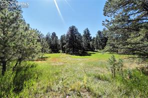 18400 Black Squirrel Road