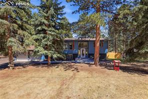 307 Evergreen Street