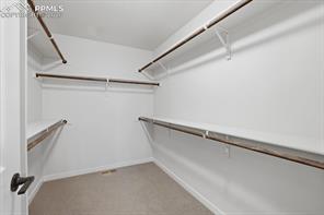8648 Wolf Valley Drive