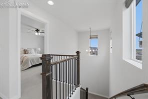 8648 Wolf Valley Drive