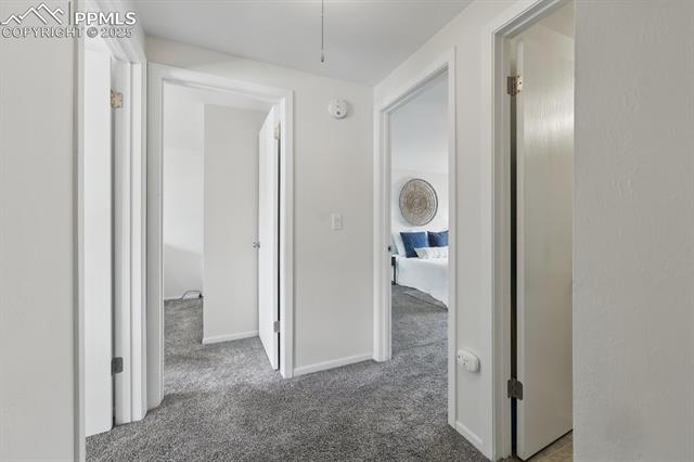 5050 Bunk House Lane