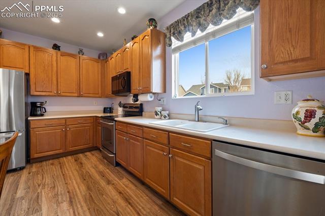 1893 Silver Meadow Circle