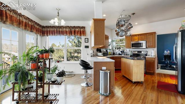 656 Freemont Circle