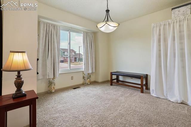 1125 Pipestone Court