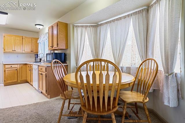 1125 Pipestone Court